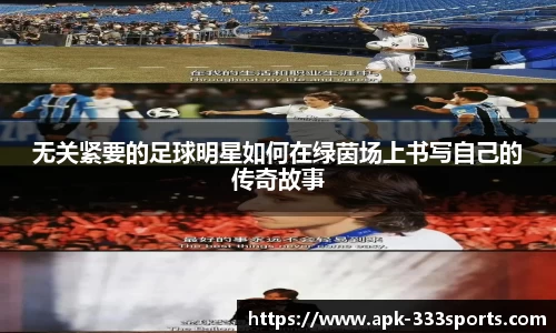 333体育官方网站